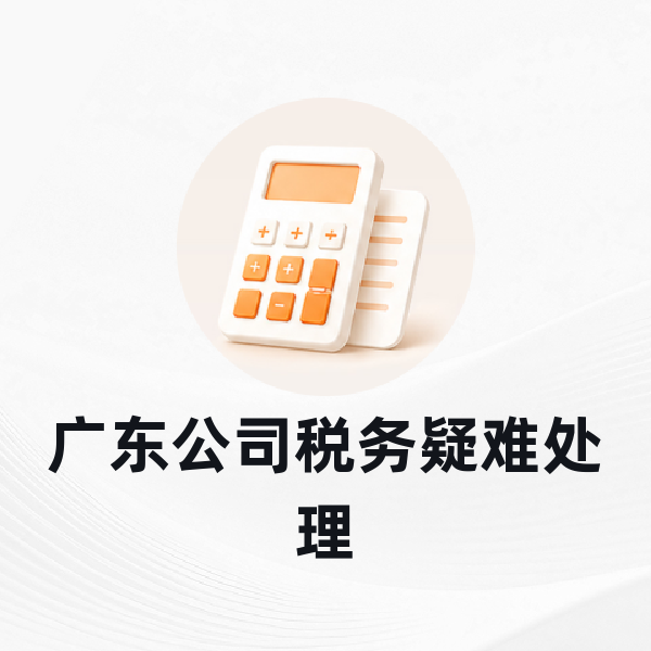 广东公司税务疑难处理