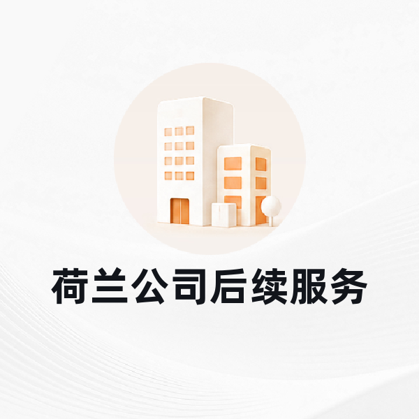 荷兰公司后续服务