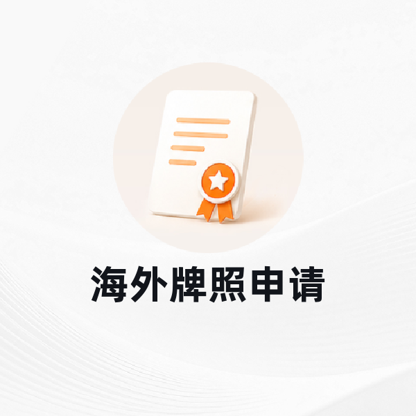 海外牌照申请