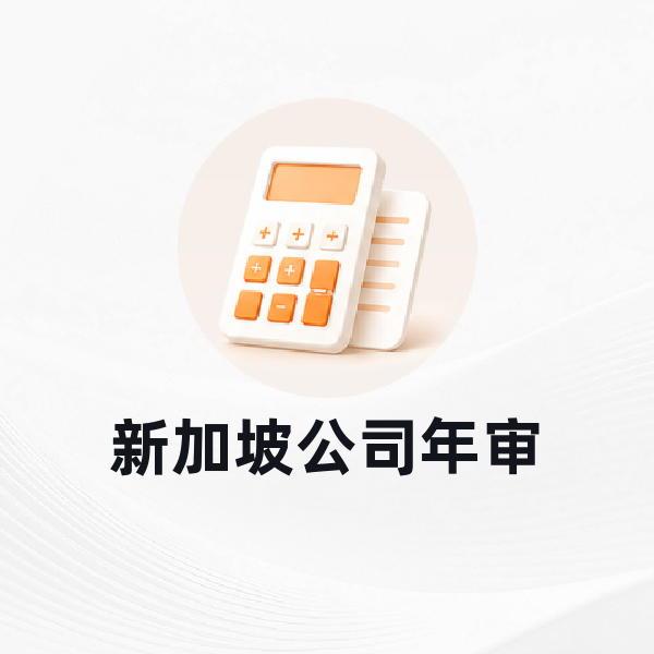 新加坡公司年审
