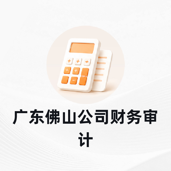 广东佛山公司财务审计