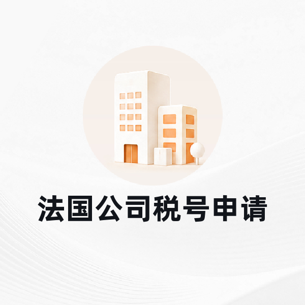 法国公司税号申请