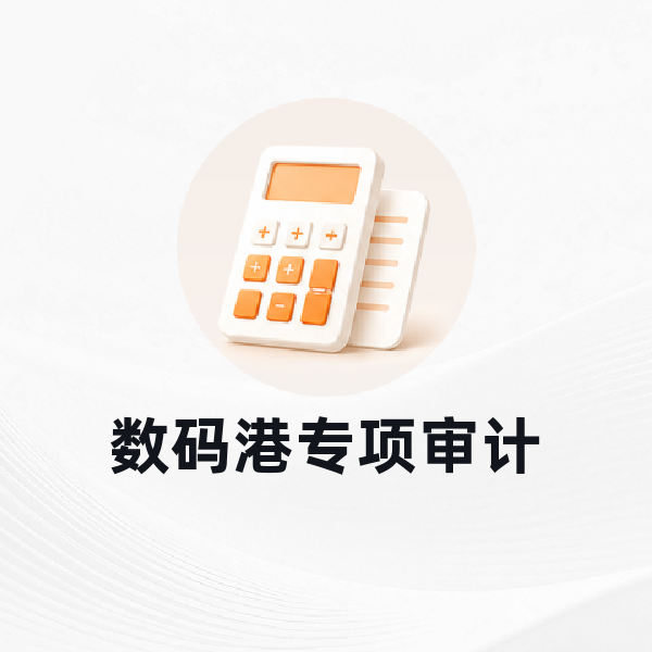 数码港专项审计