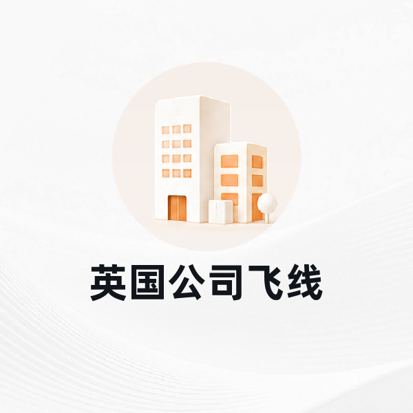 英国公司飞线