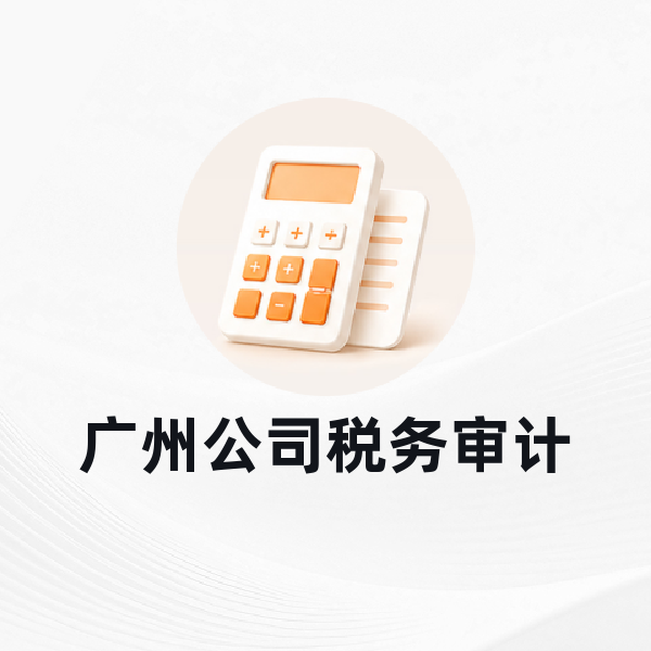 广州公司税务审计