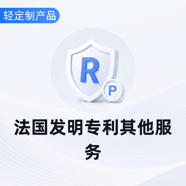 法国发明专利其他服务