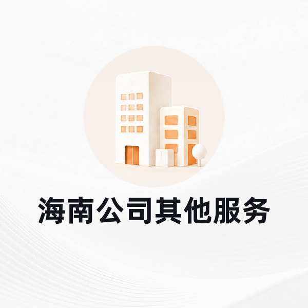 海南公司其他服务