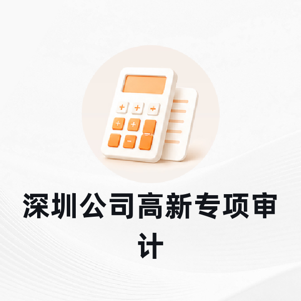 深圳公司高新专项审计