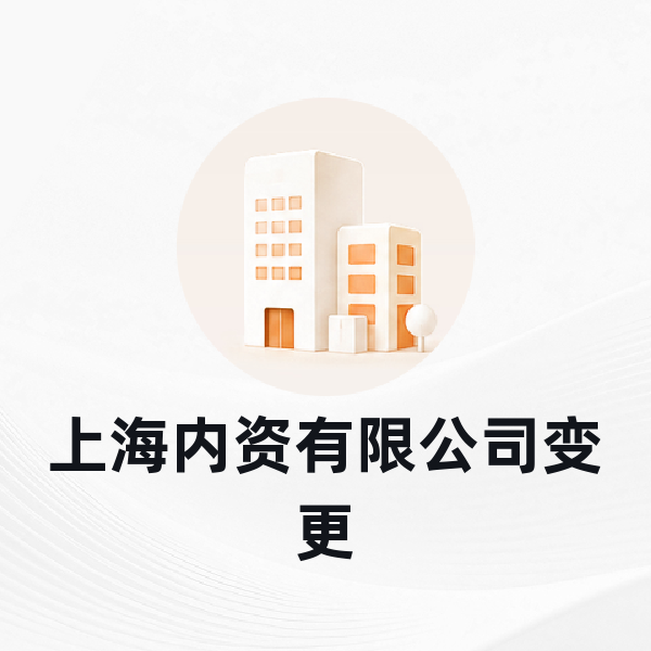 上海内资有限公司变更