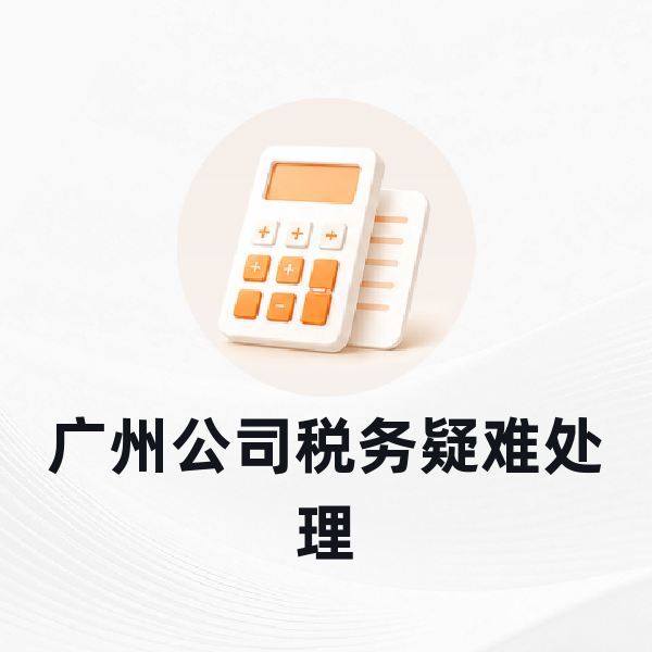 广州公司税务疑难处理