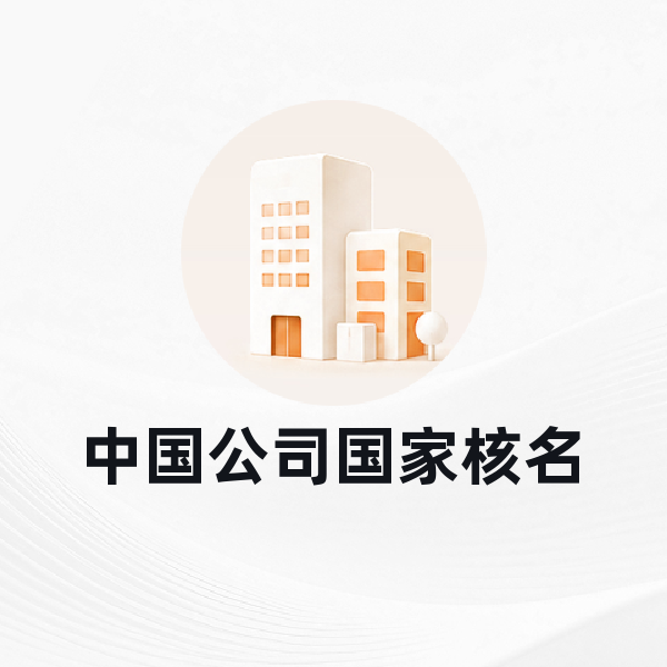 中国公司国家核名