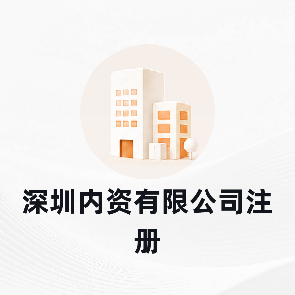 深圳内资有限公司注册
