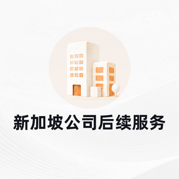 新加坡公司后续服务