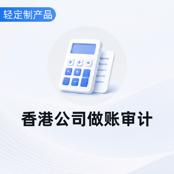 香港公司做账审计（销售额100万以下-英文报告）