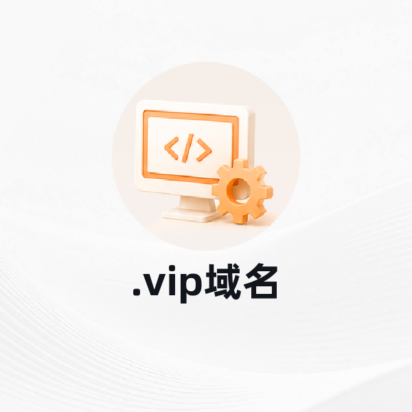 .vip域名