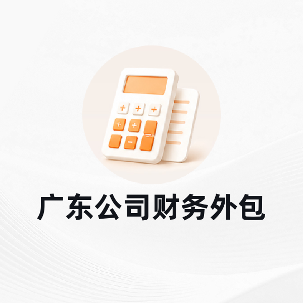 广东公司财务外包