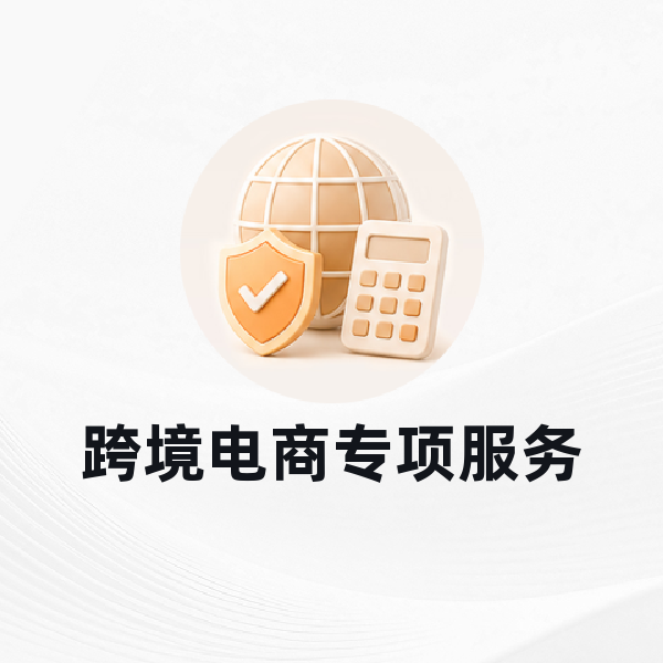 跨境电商专项服务