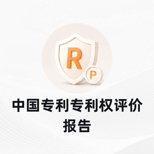 中国专利专利权评价报告