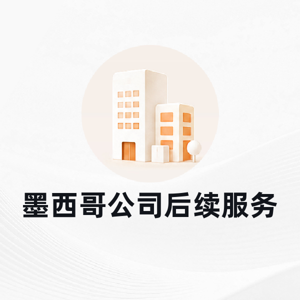 墨西哥公司后续服务