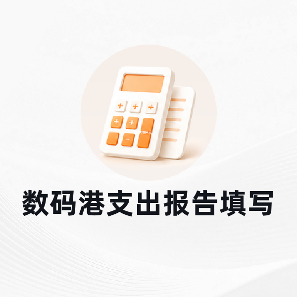 数码港支出报告填写