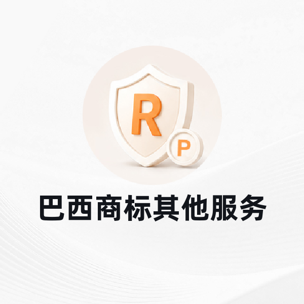 巴西商标其他服务