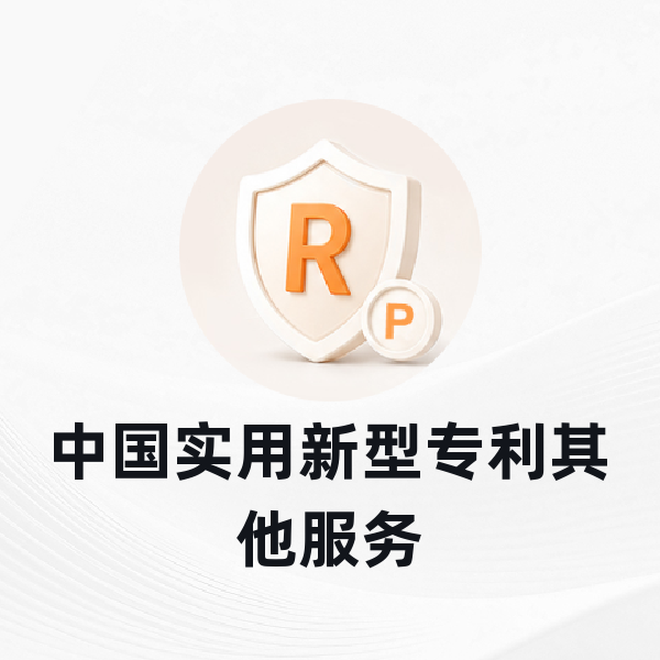 中国实用新型专利其他服务