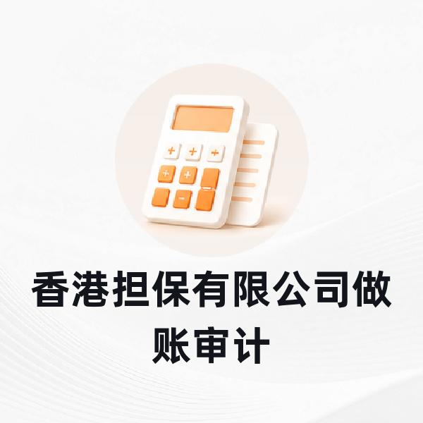 香港担保有限公司做账审计