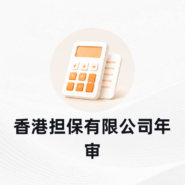 香港担保有限公司年审