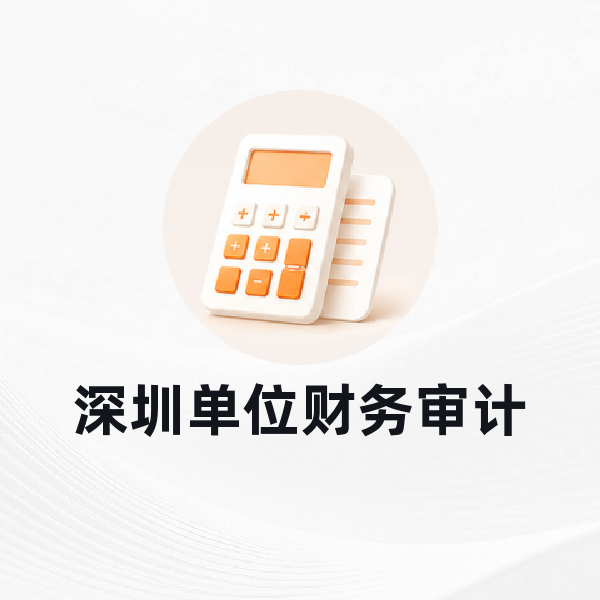 深圳单位财务审计