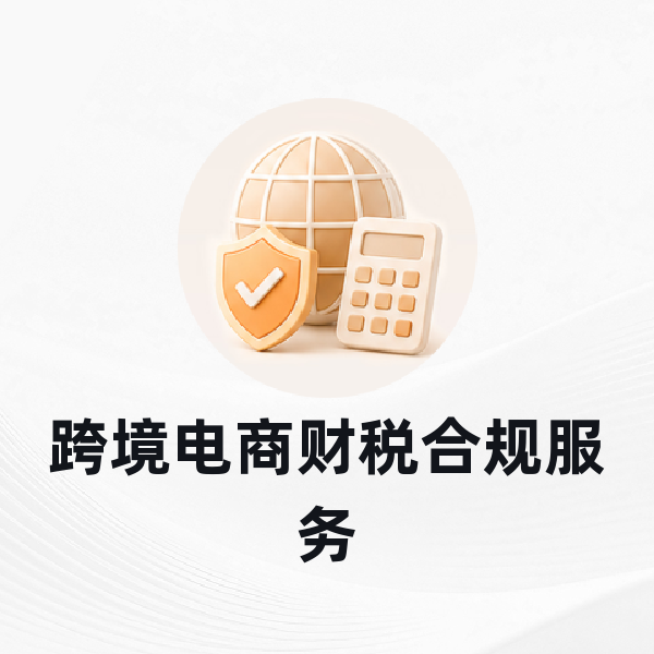 跨境电商财税合规服务