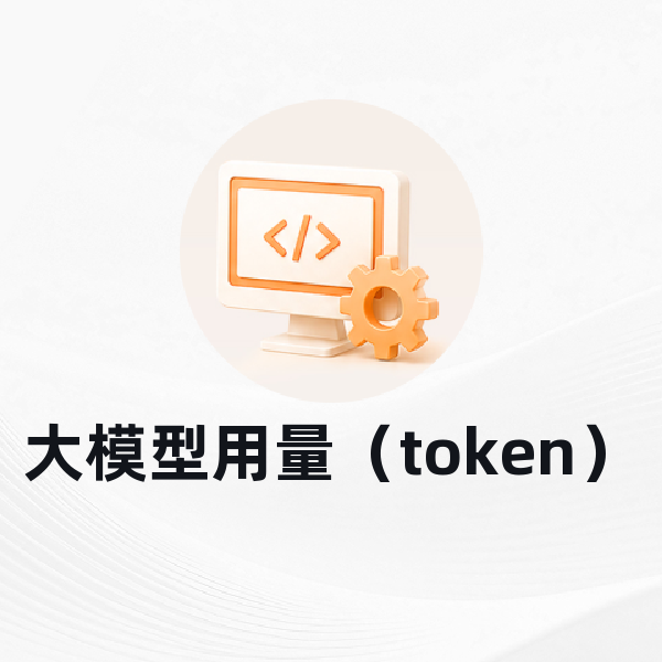 大模型用量（token）