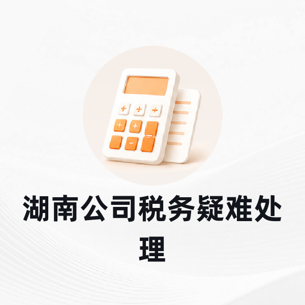 湖南公司税务疑难处理