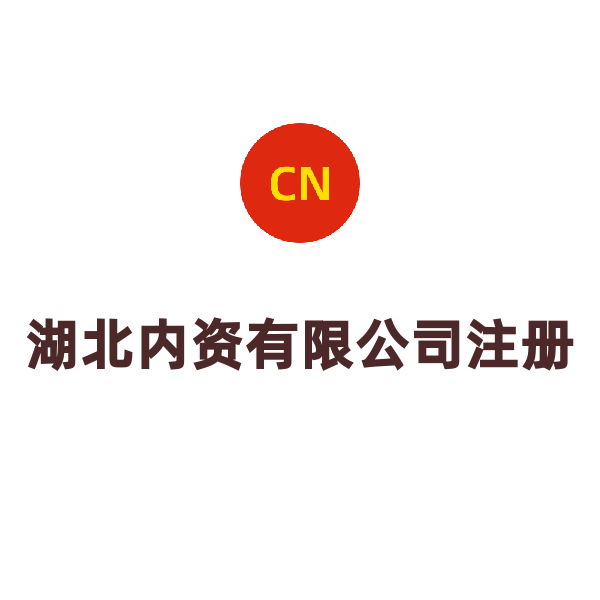 湖北内资有限公司注册