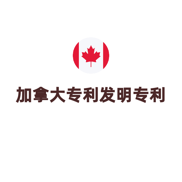 加拿大发明专利年费（小实体第2-4年/年）