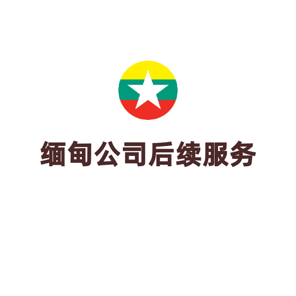 缅甸公司变更（变更实收资本）