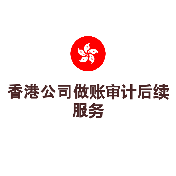 香港公司做账审计后续服务（再次服务费）