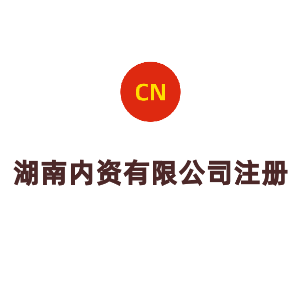 湖南内资有限公司注册