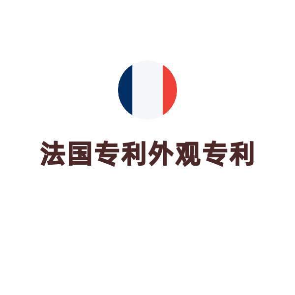 法国外观专利申请（申请）