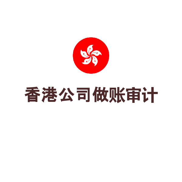 香港公司做账审计（不活跃审计（1年/份）英文报告）