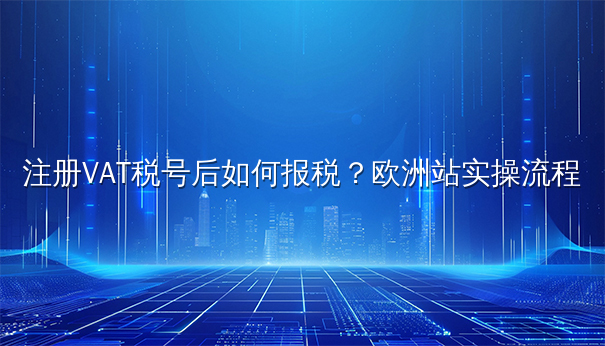 注册VAT税号后如何报税？欧洲站实操流程