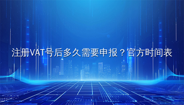 注册VAT号后多久需要申报？官方时间表揭秘