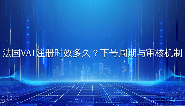 法国VAT注册时效多久？下号周期与审核机制